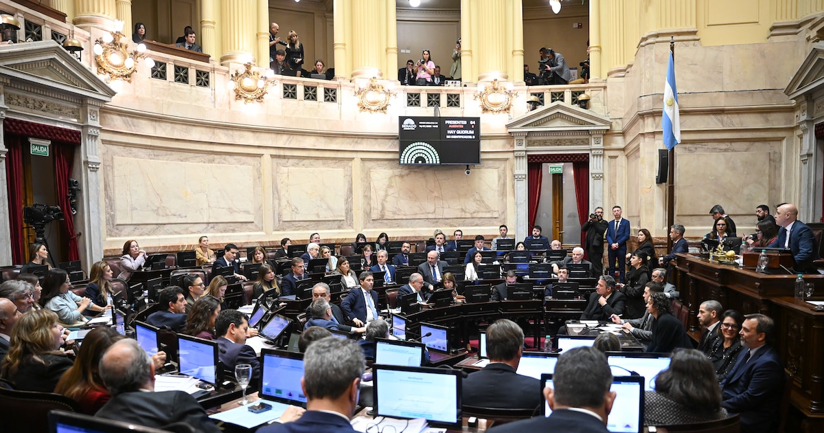 Audiencias judiciales y Súper RIGI en la agenda del Senado