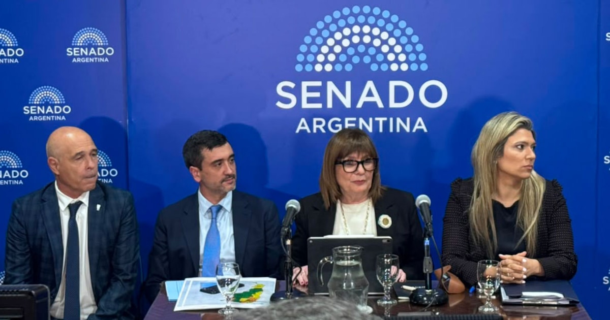 Bullrich confirmó un límite del 25% para venta de tierras a extranjeros, pero persisten dudas sobre los votos