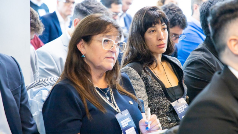 Tierra del Fuego presentó un proyecto para convertir al puerto de Ushuaia en terminal con energía limpia