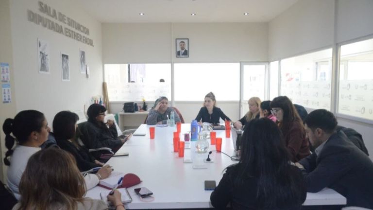 La Comisión de Salud Mental del Consejo Consultivo de la Mujer avanzó en estrategias de articulación interinstitucional