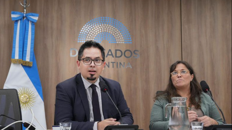 Pauli afirmó que sería más útil en una función ejecutiva que legislativa