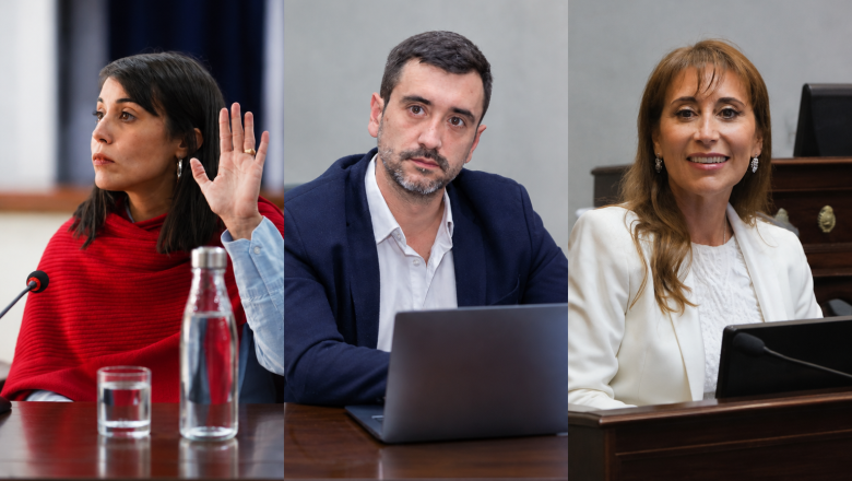 Senadores fueguinos divididos en la votación de la Ley de Inviolabilidad de la Propiedad Privada