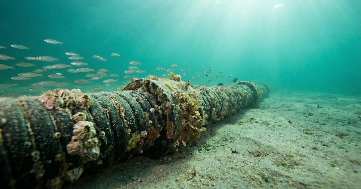 Google desplegará tres cables submarinos para mejorar la conectividad en América Latina y el Caribe