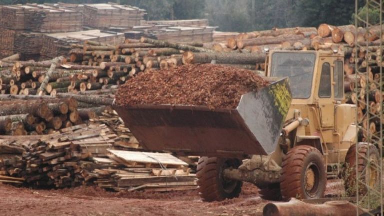 Convocan a audiencia pública por proyecto de valorización de residuos forestales en Tolhuin