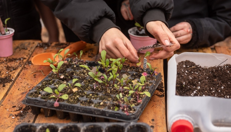 Fundación Tercer Milenio organiza taller gratuito de siembra y producción de plantines en Río Grande