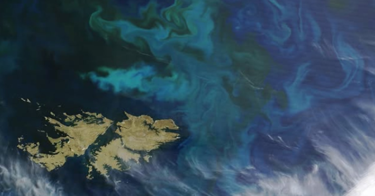 Funcionario argentino rechazó festejos británicos por el "Falklands Day"