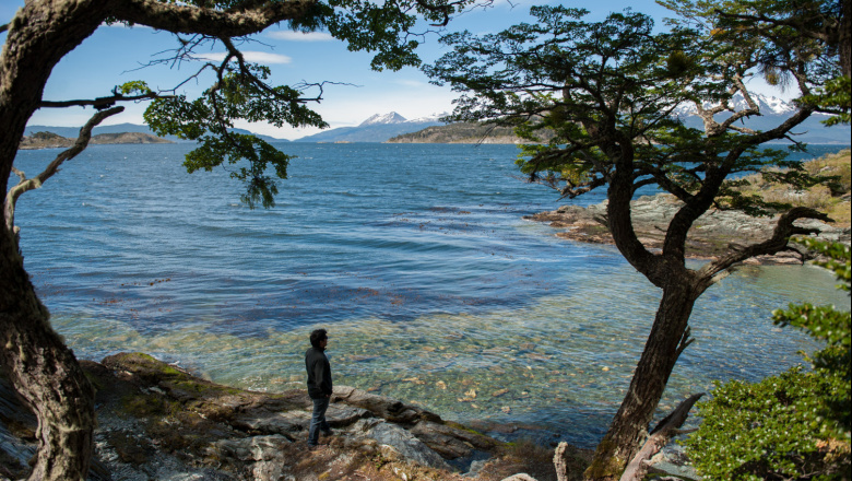 Tierra del Fuego integra un plan nacional de restauración de ecosistemas con inversión superior a USD 50 millones