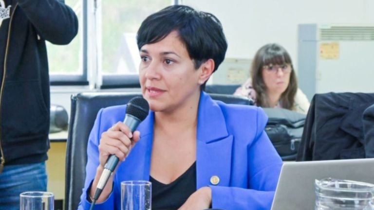 Proponen que la Causa Malvinas se enseñe con más detalle en las escuelas fueguinas