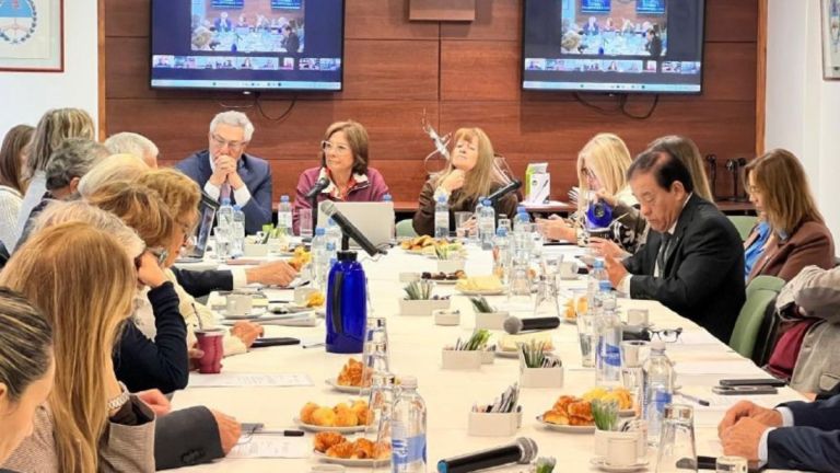 Battaini presentó las acciones de REFLEJAR ante la Comisión Directiva de JUFEJUS