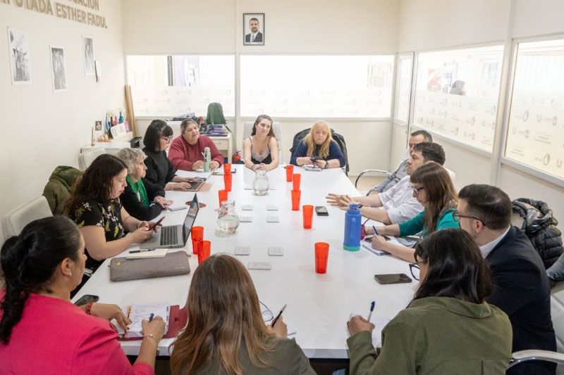 El Consejo Consultivo de la Mujer avanzó en su agenda contra la violencia de género