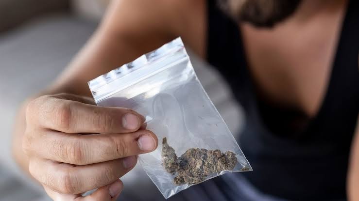 Descubren cultivo de marihuana en allanamiento por ataque con arma blanca