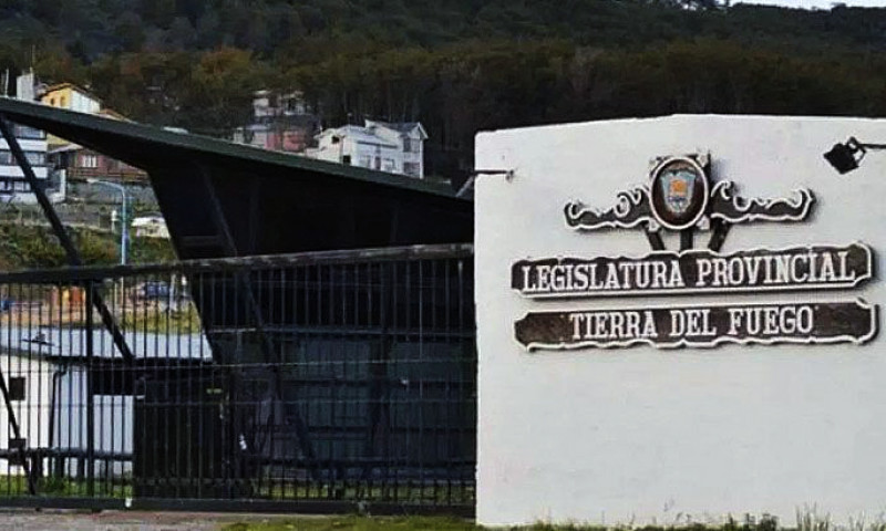 Audiencia pública para elegir al Defensor de Niñas, Niños y Adolescentes