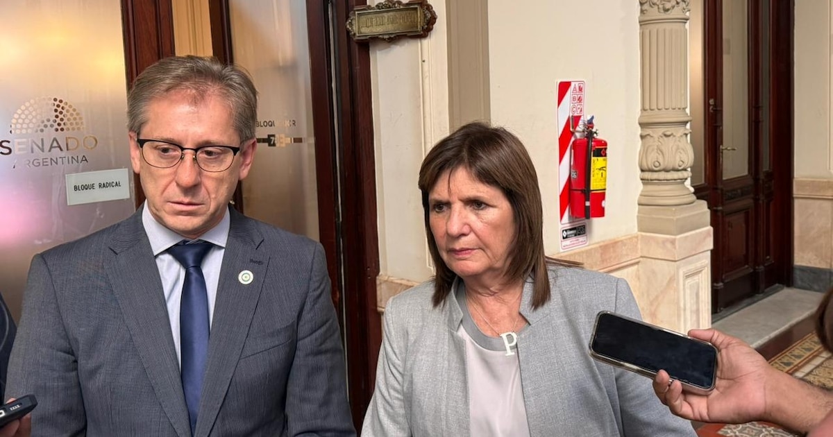 La UCR impulsa en el Senado un régimen de incentivos a inversiones desde USD 150.000