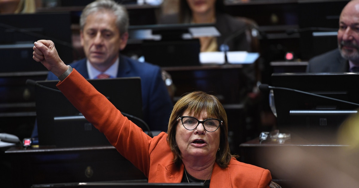 Bullrich adelantó que el Senado retomará el debate por la reforma electoral: "Suspender o eliminar las PASO es parecido"