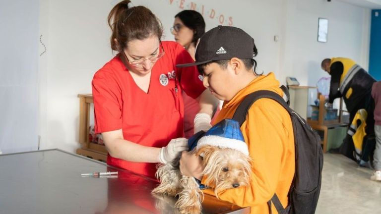 Jornada gratuita de vacunación, chipeo y adopción este sábado en Río Grande