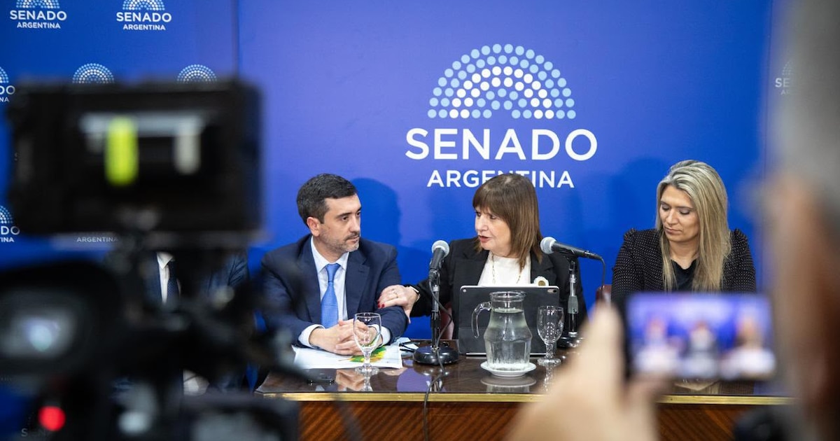 El oficialismo busca retomar en el Senado el debate sobre la eliminación de las PASO pero no hay consenso con los aliados