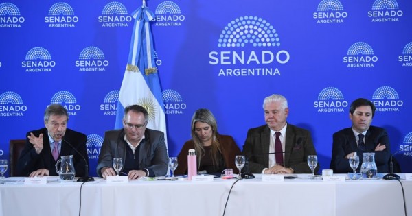 El Gobierno busca aprobar el Súper RIGI en el Senado pero debe negociar cambios para reunir votos