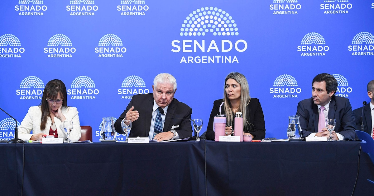 Aliados del oficialismo en el Senado frenaron el dictamen del Súper RIGI por diferencias en compre nacional