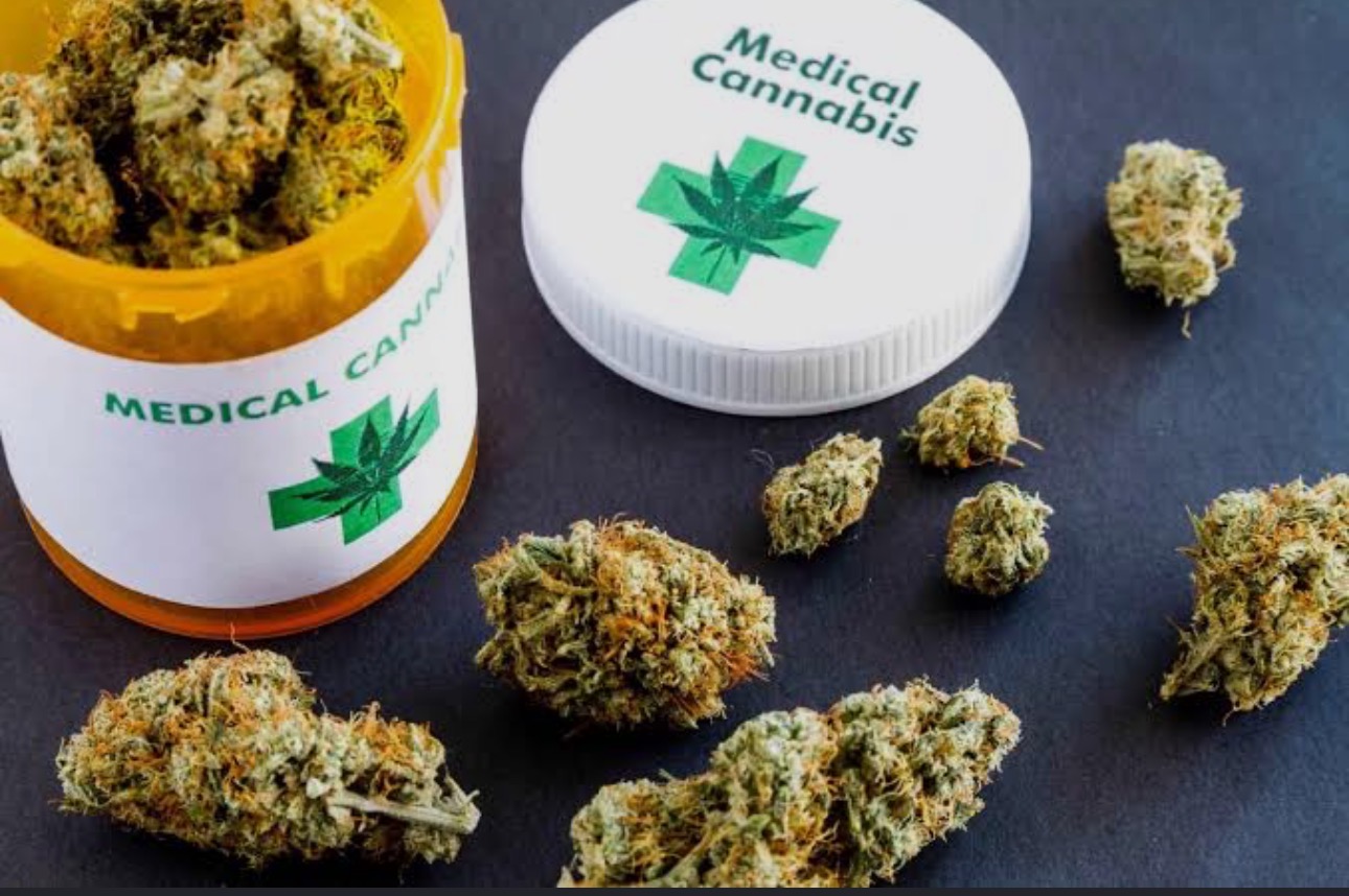 Convocan a productores de cannabis para mejorar calidad en la provincia