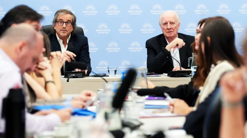 Discapacidad: Quieren derogar la ley de emergencia