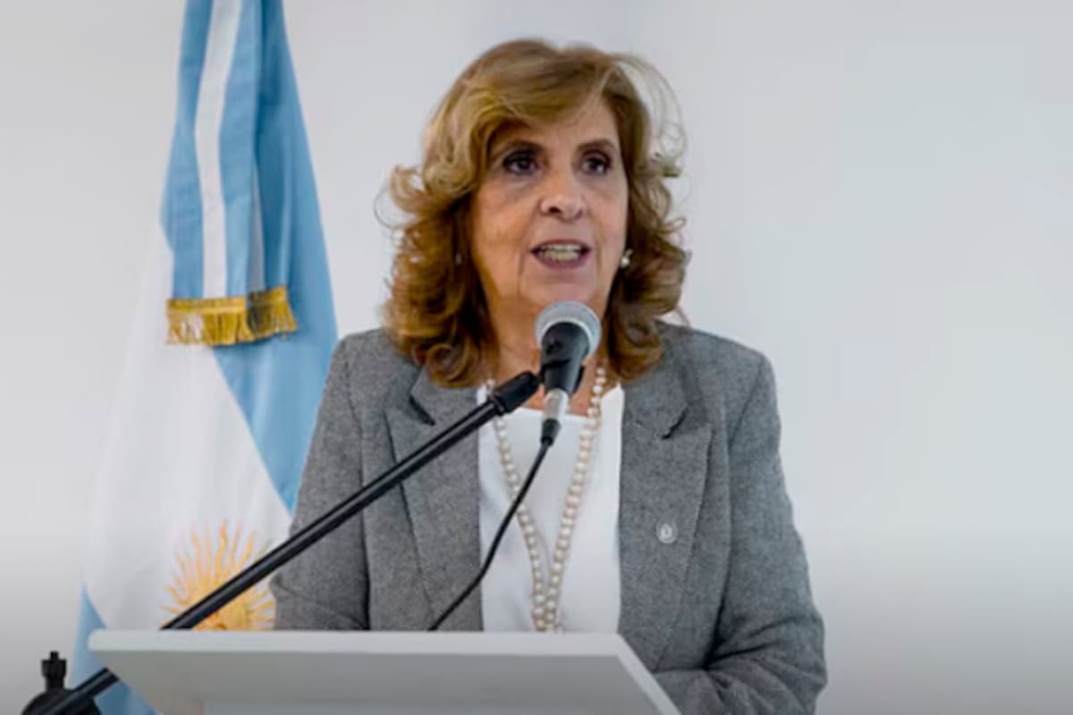 "Inadmisible": Revocaron el fallo de una jueza que suspendió la aplicación del Régimen Penal Juvenil en provincia de Bs. As.