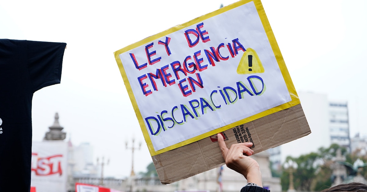 Tras la polémica, el Gobierno presentó un nuevo proyecto sobre Discapacidad que mantiene gran parte del sistema vigente