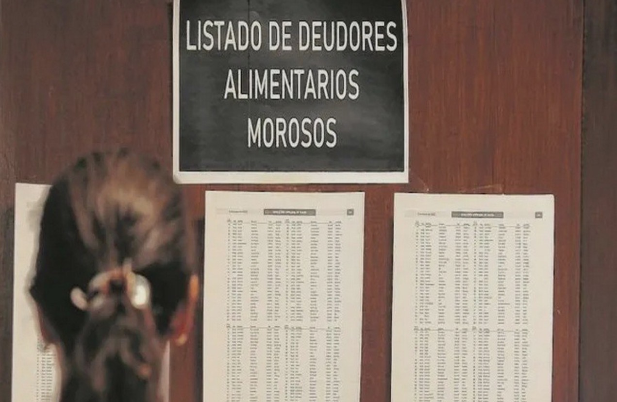 114 Personas figuran como deudores alimentarios en Tierra del Fuego