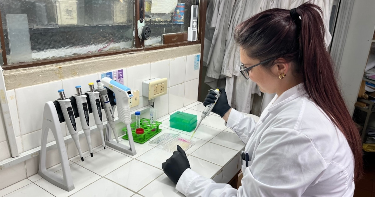 Radiografía del CONICET en tiempos de Milei: recorte de fondos, reducción de becarios y menos investigaciones