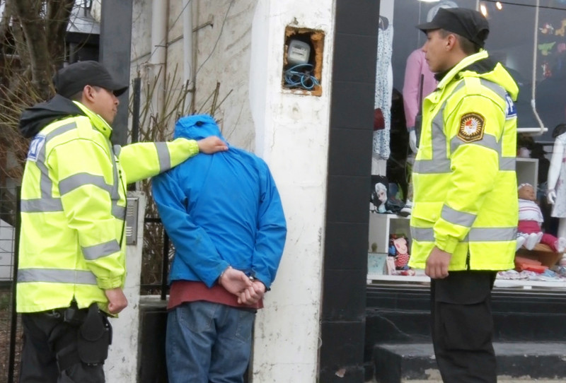 Arrojaron piedras y tarimas contra un móvil policial