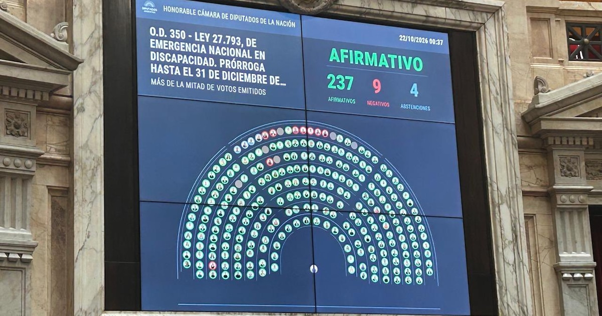 La reacción de la política al amplio acuerdo que permitió dar media sanción al proyecto de Discapacidad