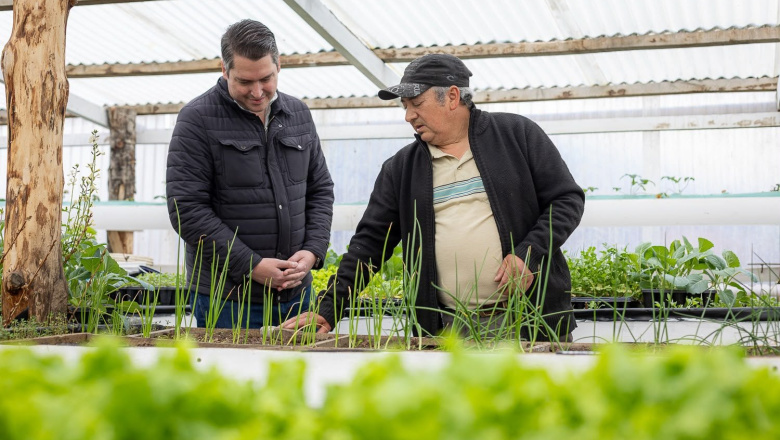 "Los productores no pueden seguir esperando", exige Perez por tierras